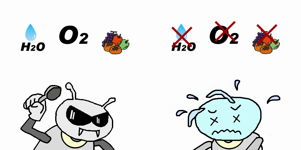 木材腐朽菌や木食虫類は、「酸素(O2)、水(H2O)」と「栄養素(木材)」の三種が揃ってはじめて分解(食害)活動が活発化します。