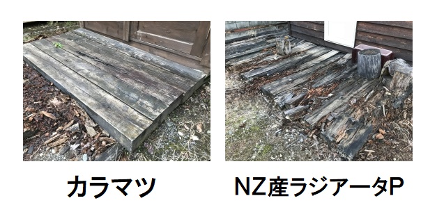 腐りにくい木材樹種もあり、建材に選ぶことは対策として良いですが、完全とは言い切れません。