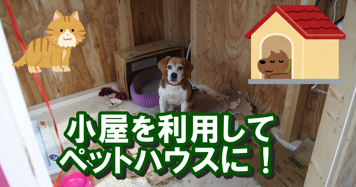 庭の小屋でニーズの猫小屋、犬小屋