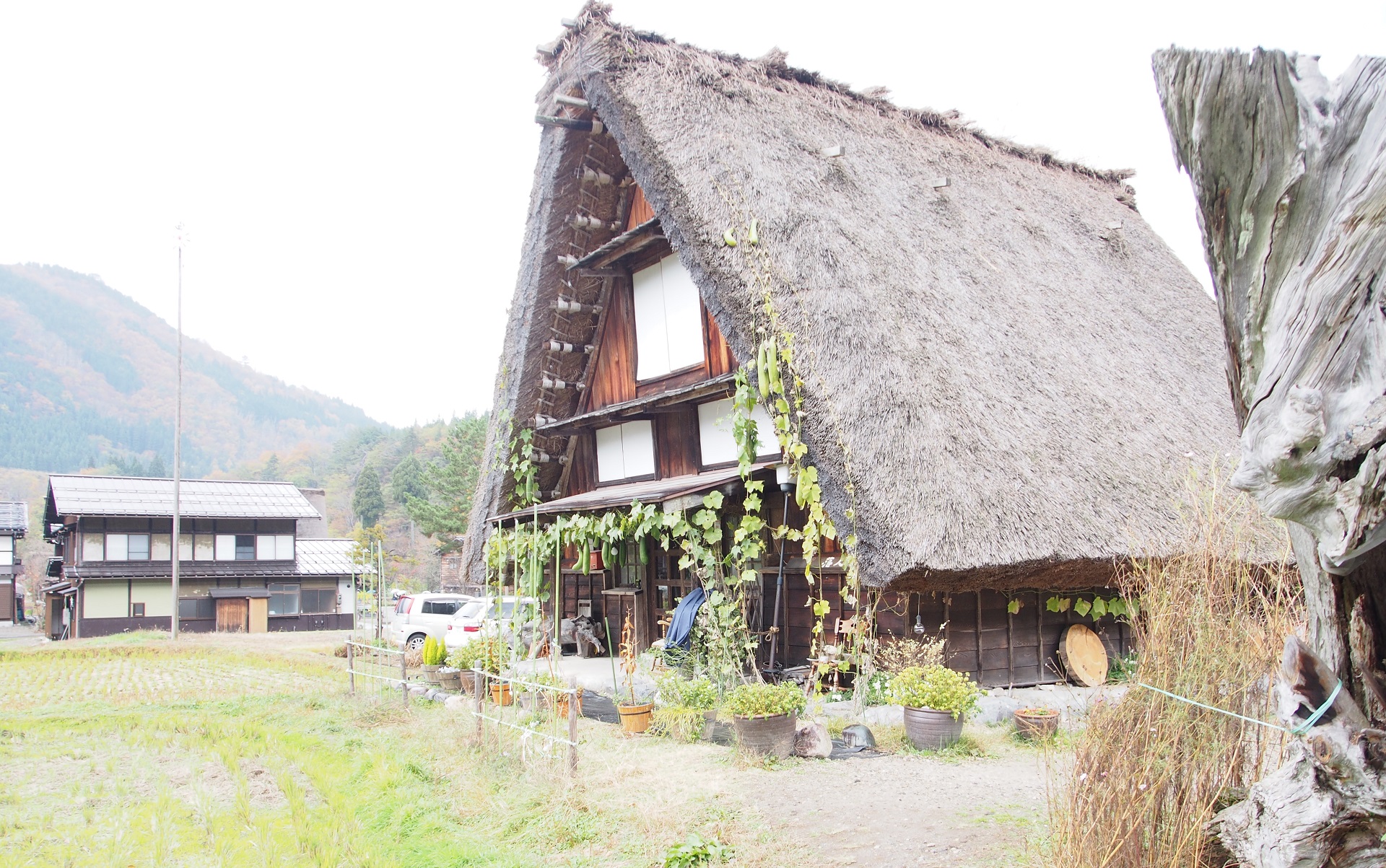 燃えやすいのが弱点の茅葺き屋根