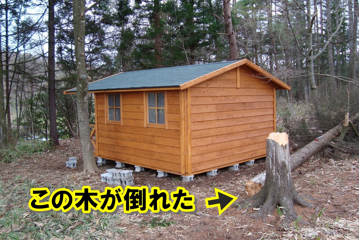 小屋作り中に横の木が折れて倒れた…