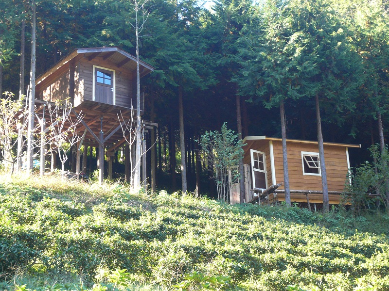 傾斜地の小屋からの眺めは、良いことが多いです。