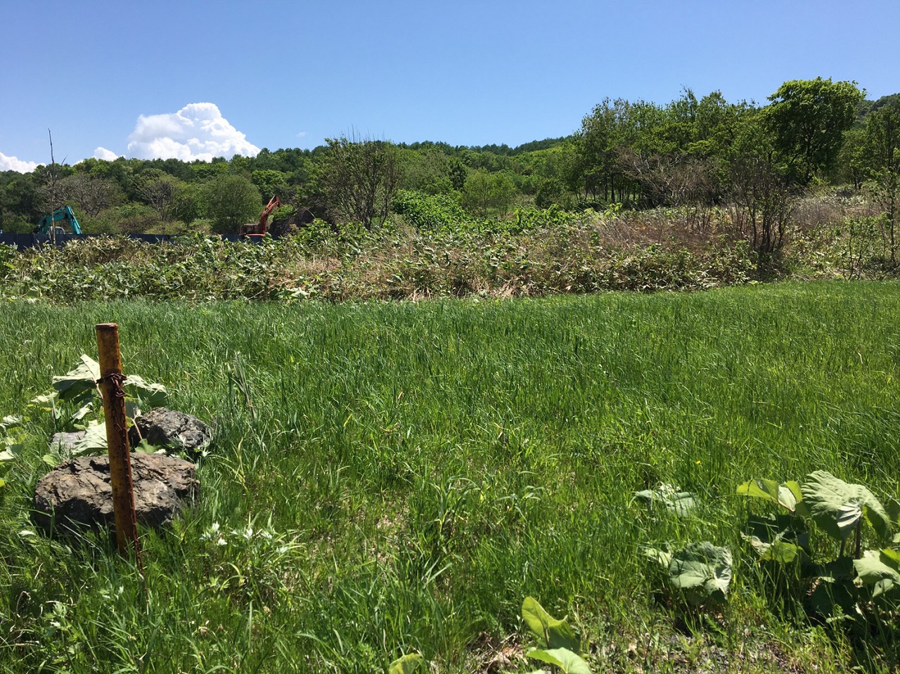 小屋を建てる場所は山林内