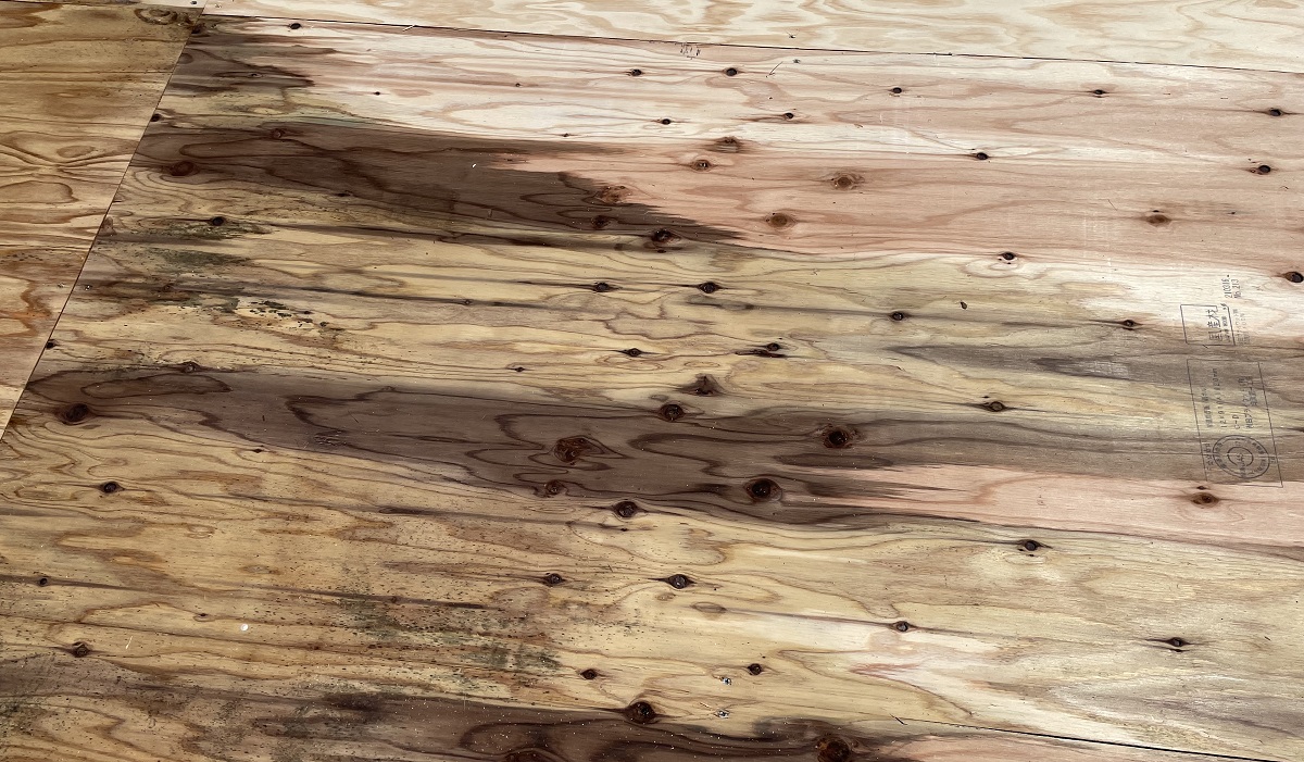 カビキラーで一時的には消えるものの、長時間濡れた状態だと木材の奥にカビが潜んでいます。